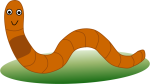 Worm